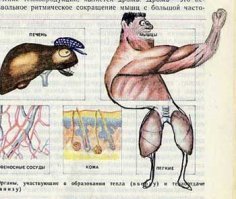 А вы рисовали в учебниках?
