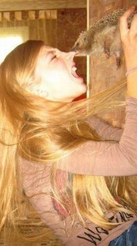 Смелые зайцы и умные овцы: мифы и парадоксы животного мира