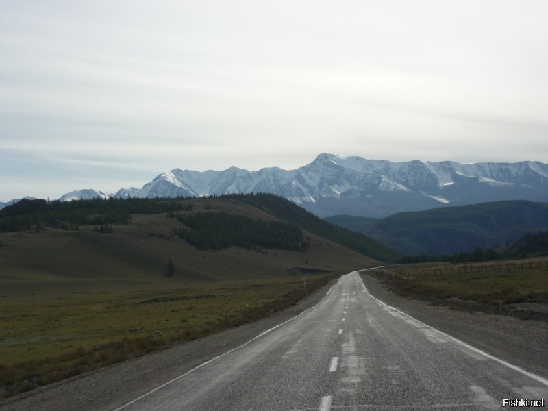 Горный Алтай, июнь