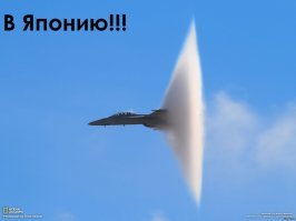 Перекусить в Японии... и сойти с ума от изумления!