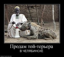 "Человек-гиена" ест от одного куска с хищниками, помогая соседям