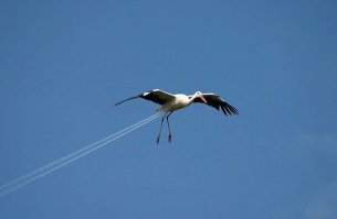 Городские зарисовки, которые вы ещё не видели
