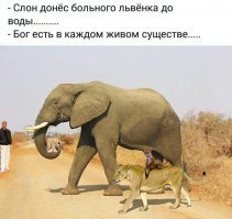 Не. На самом деле всё было так.