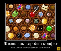 Свежая подборка демотиваторов, которые поднимут вам настроение