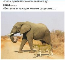 Фотошоп невооружённым глазом даже на маленькой картинке виден. Нечего придумывать того, чего не может быть.
