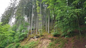 мои фото на днях