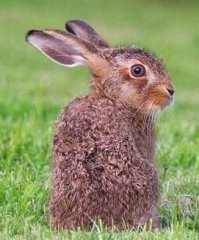 Ну и как такую красоту можно стрелять?