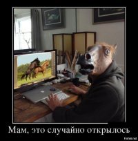 Первый жеребенок лошади Пржевальского появился на свет под Оренбургом