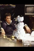 Экстранет на развес киллограммами!