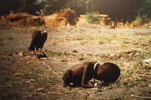 Согласен... За это фото - вроде еще и премию фотограф получил...