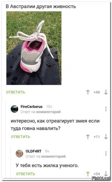 У тебя есть жилка Кота.