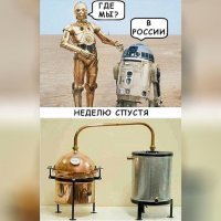 Питер украсили шестиметровым котом, самым большим в Европе