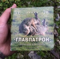 Редкие кадры зайчихи-мамы и зайца-малыша