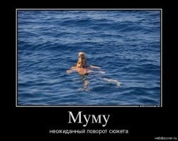 Слухи об уме собак сильно преувеличены?)