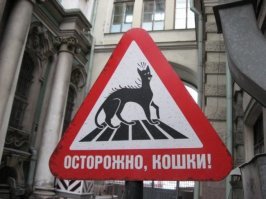 6 самых сложных головоломок - под силу лишь очень умным