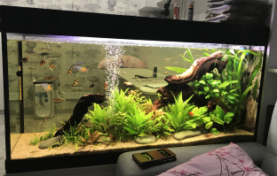 я только учусь