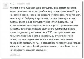 Гифки с енотами