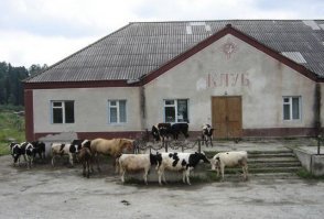 Не может быть! Все толстожопые телки пошли в клуб.
.