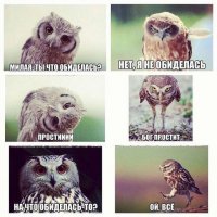 Фотограф сумел подловить сову на необычном развлечении