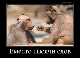 Надо было сразу посылать соседей - эффект был бы тот же, а имущество целее.