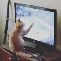 А где тут футбол?