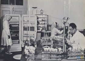 Афганистан 50-х, 60-х годов...