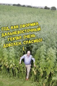 Как раздавали дальневосточные земли в царской России