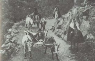 Дело не в глобализации, дело в сравнении несравнимого.

Автор пишет "...фотограф сознательно избегала свадебных и танцевальных нарядов..."
При этом все девушки в свадебных или праздничных национальных платьях, а мужчины в праздничных костюмах.

Ну так и на современном фото их нужно было одеть в свадебные платья со свадебным макияжем и сделать свадебные прически.
Полагаю что и мужчины там, на свадьбу одевают что-то отличное от кед и джинсов.

Для сравнения повседневные фото черкесов, кумыков и дагестанцев в национальной одежде, сделанные в период с 1890 по 1901 годы.