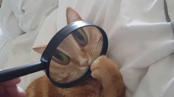 ни хрена не вижу..