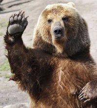 Пара провела 5 месяцев в джунглях Южной Америки и сделала удивительные открытия