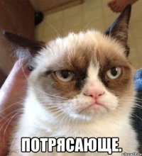 Следственный комитет посвятил сборной России по футболу песню
