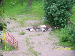 У меня вот такие пейзажи открывались.