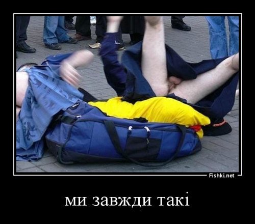 Политические коментарии - 505