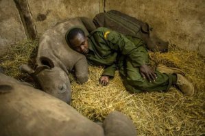 Отличное место, прилягу здесь!