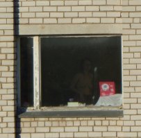 А из нашего окна, сиська чуточку видна ;) Пейзаж перед моим окном чудесен, но дом справа ещё более живописен