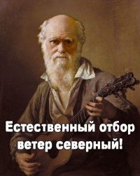 В Геленджике туристка сорвалась с обрыва и разбилась о камни