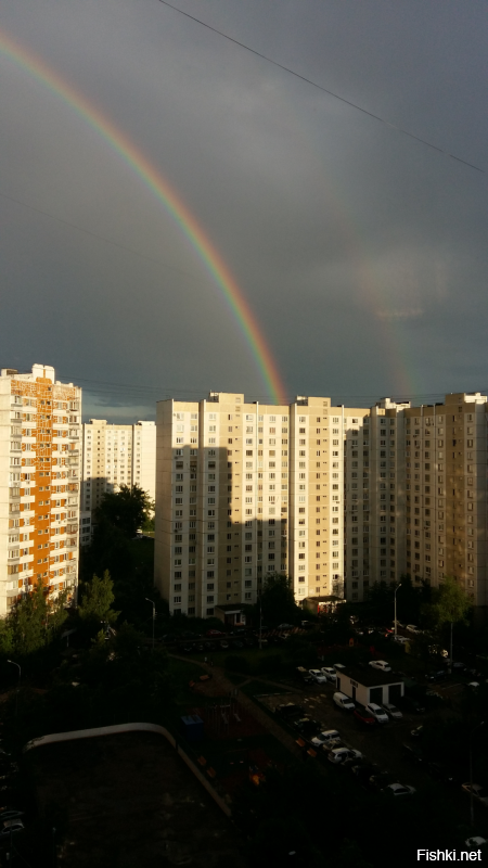 Что видно из вашего окна, Фишкяне?