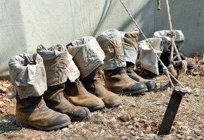 Наши ловушки гораздо эффективней и не только от комаров.