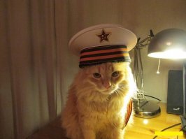 Ох уж эти сказочники...