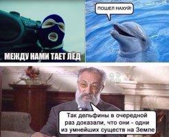 Свежая подборка демотиваторов, которые поднимут вам настроение