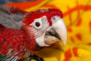 Продолжение :)