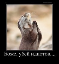 15 сумасшедших причесок: были бы волосы, а фантазия всегда найдется