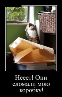 Демотиваторы