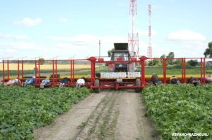 Примеры народной смекалки и изобретательности