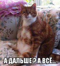Изменение птенца ара с рождения до двух месяцев жизни