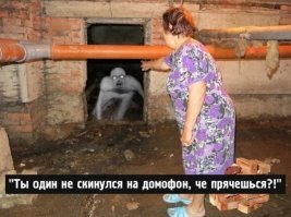 Невероятные существа, которые оказались фейками