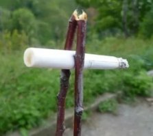 Мы в детстве так курили, чтобы руки не пахли)