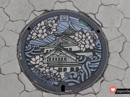 Искусство под ногами: канализационный люк