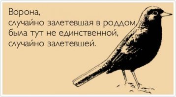Неслучайные "случайности", поднимающие настроение