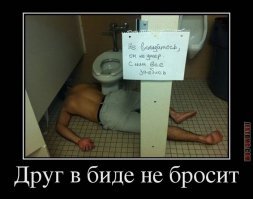 Несколько причин, почему биде не приживается в России